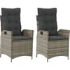 Image de vidaXL - Tuinstoelen - 2 - st - verstelbaar - met - kussens - poly - rattan - grijs