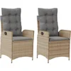 Image de vidaXL - Tuinstoelen - 2 - st - verstelbaar - kussens - poly - rattan - gemengd - beige