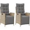 Image de vidaXL - Tuinstoelen - 2 - st - verstelbaar - voetensteun - poly - rattan - beige - mix
