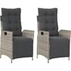 Image de vidaXL - Tuinstoelen - 2 - st - verstelbaar - met - voetensteun - poly - rattan - grijs