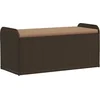 Image de vidaXL - Opbergbankje - met - kussen - 115x51x52 - cm - poly - rattan - bruin
