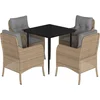 Image de vidaXL - 5-delige - Tuinset - met - kussens - poly - rattan - beige