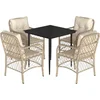 Image de vidaXL - 5-delige - Tuinset - met - kussens - poly - rattan - beige