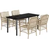 Image de vidaXL - 5-delige - Tuinset - met - kussens - poly - rattan - beige