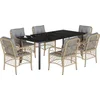 Image de vidaXL - 7-delige - Tuinset - met - kussens - poly - rattan - gemengd - beige