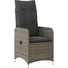 Image de vidaXL - Tuinstoel - verstelbaar - met - kussens - poly - rattan - grijs