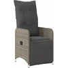 Image de vidaXL - Tuinstoel - verstelbaar - met - kussens - poly - rattan - grijs
