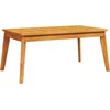 Image de vidaXL - Tuintafel - 100x55x45 - cm - massief - acaciahout