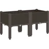 Image de vidaXL - Plantenbak - met - poten - 80x40x42 - cm - polypropeen - bruin