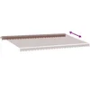 Image de vidaXL - Luifel - handmatig - uittrekbaar - 600x300 - cm - bruin