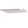 Image de vidaXL - Luifel - handmatig - uittrekbaar - 400x300 - cm - bruin