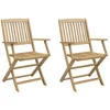 Image de vidaXL - Tuinstoelen - 2 - st - inklapbaar - 54x61x88 - cm - massief - acaciahout