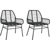Image de vidaXL - Tuinstoelen - 2 - st - poly - rattan - zwart