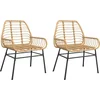Image de vidaXL - Tuinstoel - bruin - poly - rattan - 2 - st