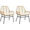 Image de vidaXL - Tuinstoelen - 2 - st - met - kussens - poly - rattan - bruin