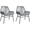 Image de vidaXL - Tuinstoelen - 2 - st - met - kussens - poly - rattan - grijs