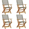 Image de vidaXL - Tuinstoelen - 4 - st - inklapbaar - poly - rattan - en - massief - hout - grijs
