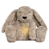 Image de Baby's Only Bibi het knuffelkonijn met slaaptrainer - Baby knuffel met white noise en slimme huilsensor - Nachtlicht - Taupe