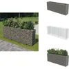 Image de vidaXL Gabion Verhoogde Plantenbak - Gabion Verhoogde Plantenbakken - Gabionbak - Gabionbakken - Gabion plantenbak verhoogd 270x50x100 cm gegalvaniseerd staal