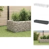 Image de vidaXL Verhoogde Plantenbak - Verhoogde Plantenbakken - Gabion Plantenbak - Gabion Plantenbakken - Gabion plantenbak verhoogd 360x90x50 cm staal