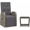 Image de vidaXL - 2-delige - Tuinset - met - kussens - poly - rattan - grijs
