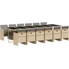 Image de vidaXL - 13-delige - Tuinset - met - kussens - poly - rattan - gemengd - beige