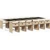 Image de vidaXL - 13-delige - Tuinset - met - kussens - poly - rattan - beige