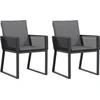 Image de vidaXL - Tuinstoelen - 2 - st - met - kussens - poly - rattan - zwart