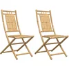 Image de vidaXL - Tuinstoelen - 2 - st - inklapbaar - 46x66x99 - bamboe