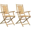 Image de vidaXL - Tuinstoelen - 2 - st - inklapbaar - 53x66x99 - bamboe