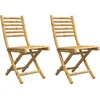 Image de vidaXL - Tuinstoelen - 2 - st - inklapbaar - 43x54x88 - bamboe