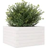 Image de vidaXL - Plantenbak - 40x40x23 - cm - massief - grenenhout - wit