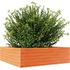 Image de vidaXL - Plantenbak - 80x80x23 - cm - massief - grenenhout - wasbruin