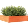 Image de vidaXL - Plantenbak - 90x90x23 - cm - massief - grenenhout - wasbruin