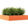Image de vidaXL - Plantenbak - 110x110x23 - cm - massief - grenenhout - wasbruin