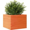 Image de vidaXL - Plantenbak - 60x60x45,5 - cm - massief - grenenhout - wasbruin