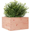 Image de vidaXL - Plantenbak - 80x80x45,5 - cm - massief - douglashout