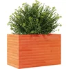 Image de vidaXL - Plantenbak - 70x40x45,5 - cm - massief - grenenhout - wasbruin