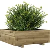 Image de vidaXL - Plantenbak - 70x70x26,5 - cm - geïmpregneerd - grenenhout