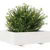 Image de vidaXL - Plantenbak - 80x80x26,5 - cm - massief - grenenhout - wit