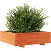 Image de vidaXL - Plantenbak - 80x80x26,5 - cm - massief - grenenhout - wasbruin