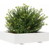 Image de vidaXL - Plantenbak - 100x100x26,5 - cm - massief - grenenhout - wit