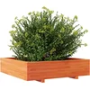 Image de vidaXL - Plantenbak - 100x100x26,5 - cm - massief - grenenhout - wasbruin