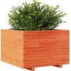 Image de vidaXL - Plantenbak - 70x70x49,5 - cm - massief - grenenhout - wasbruin