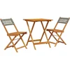 Image de vidaXL - 3-delige - Bistroset - poly - rattan - en - massief - hout - grijs
