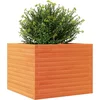 Image de vidaXL - Plantenbak - 60x60x46 - cm - massief - grenenhout - wasbruin
