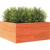 Image de vidaXL - Plantenbak - 100x100x46 - cm - massief - grenenhout - wasbruin