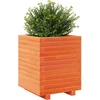 Image de vidaXL - Plantenbak - 40x40x49,5 - cm - massief - grenenhout - wasbruin