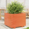 Image de vidaXL - Plantenbak - 60x60x49,5 - cm - massief - grenenhout - wasbruin