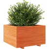 Image de vidaXL - Plantenbak - 80x80x49,5 - cm - massief - grenenhout - wasbruin